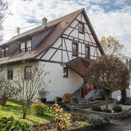 Ferienwohnung Nr 1 Deggenhausertal Kültér fotó